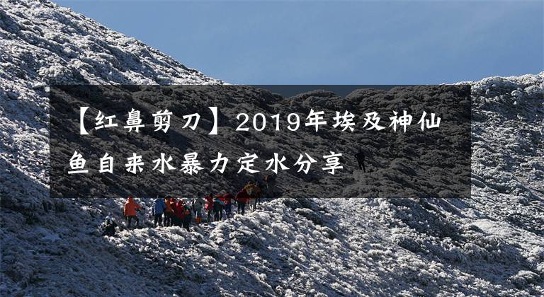 【紅鼻剪刀】2019年埃及神仙魚自來水暴力定水分享