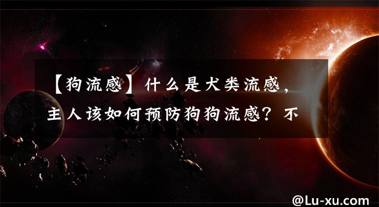 【狗流感】什么是犬類流感，主人該如何預防狗狗流感？不幸患上了該如何治療