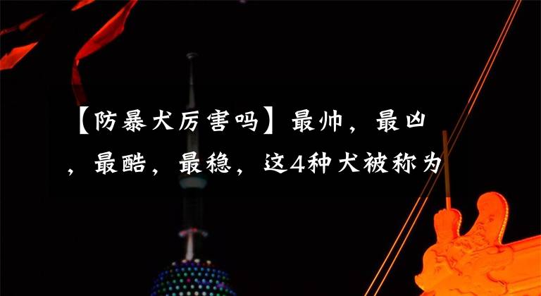 【防暴犬厲害嗎】最帥，最兇，最酷，最穩(wěn)，這4種犬被稱為犬中的“四大之最”