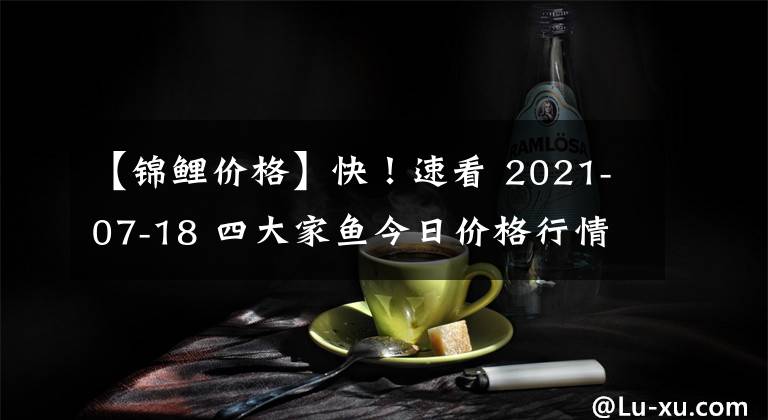 【錦鯉價格】快！速看 2021-07-18 四大家魚今日價格行情