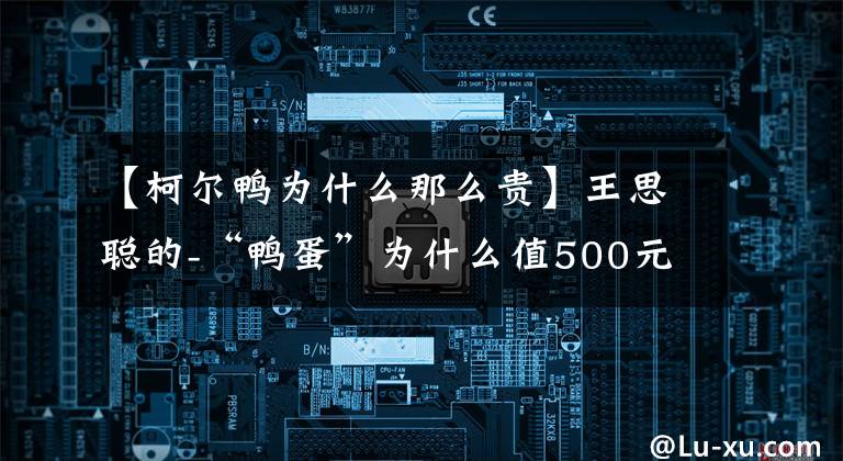 【柯爾鴨為什么那么貴】王思聰?shù)?“鴨蛋”為什么值500元RMB，“鴨蛋”的價(jià)值在哪里。