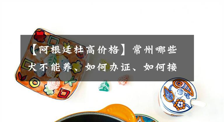 【阿根廷杜高價格】常州哪些犬不能養(yǎng)、如何辦證、如何接種疫苗……權(quán)威解答來了