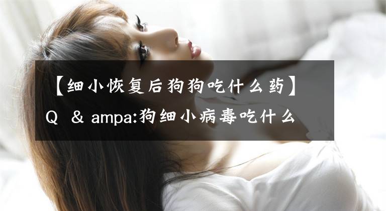 【細(xì)小恢復(fù)后狗狗吃什么藥】Q & ampa:狗細(xì)小病毒吃什么好？