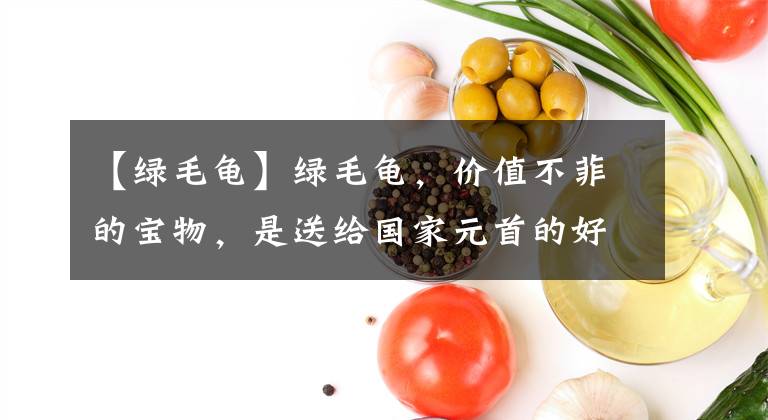 【綠毛龜】綠毛龜，價(jià)值不菲的寶物，是送給國家元首的好禮物！