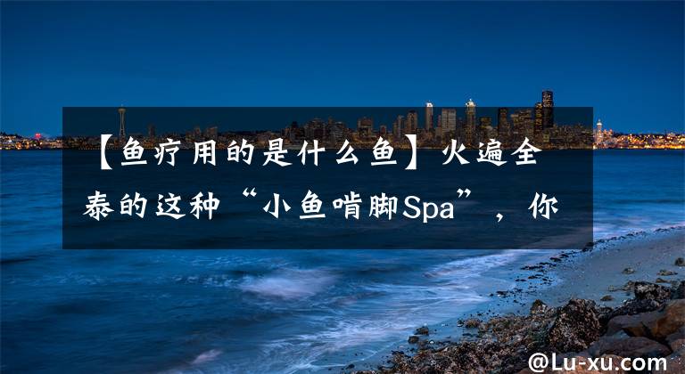 【魚(yú)療用的是什么魚(yú)】火遍全泰的這種“小魚(yú)啃腳Spa”，你可知有多大健康風(fēng)險(xiǎn)？