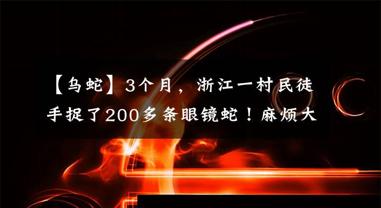 【烏蛇】3個月，浙江一村民徒手捉了200多條眼鏡蛇！麻煩大了……