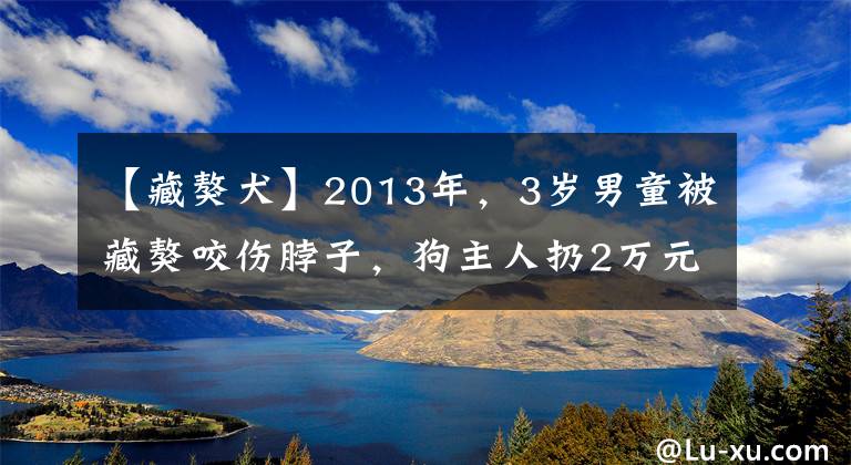 【藏獒犬】2013年，3歲男童被藏獒咬傷脖子，狗主人扔2萬元后消失，后續(xù)如何