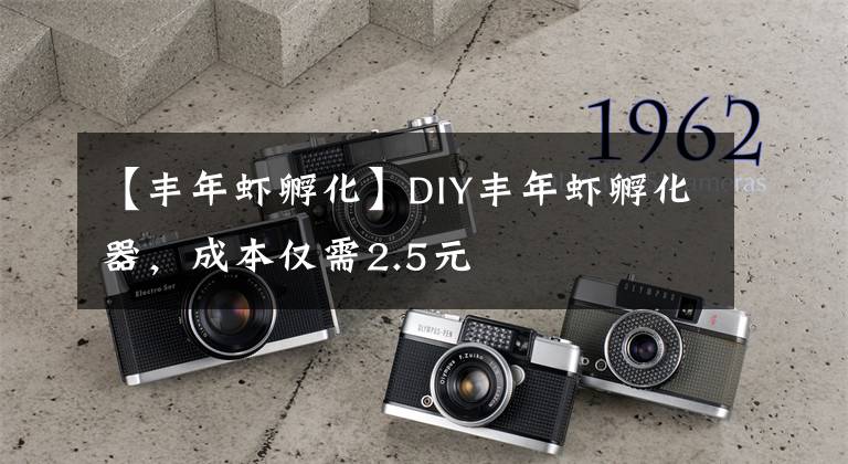 【豐年蝦孵化】DIY豐年蝦孵化器，成本僅需2.5元