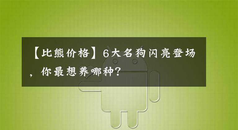 【比熊價格】6大名狗閃亮登場，你最想養(yǎng)哪種？