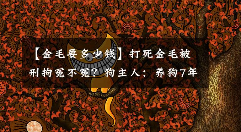 【金毛要多少錢】打死金毛被刑拘冤不冤？狗主人：養(yǎng)狗7年成本超30萬