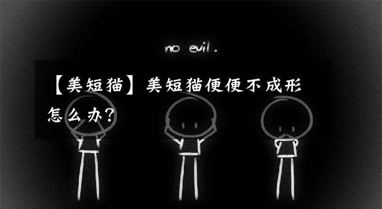 【美短貓】美短貓便便不成形怎么辦？