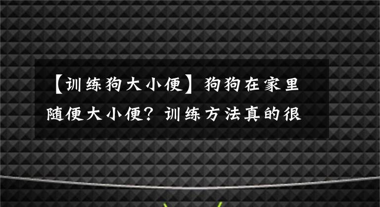 【訓(xùn)練狗大小便】狗狗在家里隨便大小便？訓(xùn)練方法真的很簡單哦！