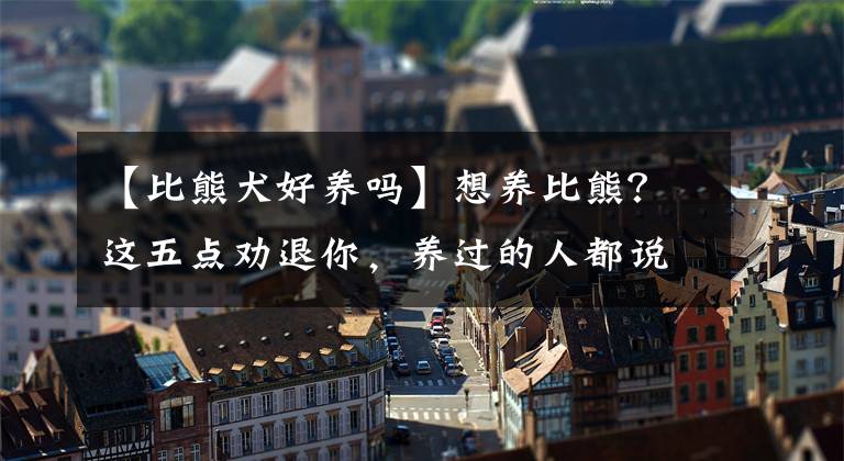 【比熊犬好養(yǎng)嗎】想養(yǎng)比熊？這五點勸退你，養(yǎng)過的人都說受不了