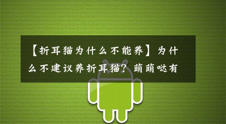 【折耳貓為什么不能養(yǎng)】為什么不建議養(yǎng)折耳貓？萌萌噠有什么不好嗎？