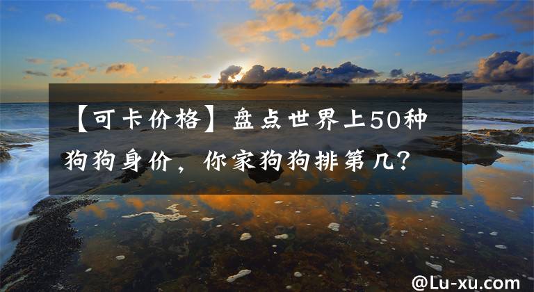 【可卡價格】盤點世界上50種狗狗身價，你家狗狗排第幾？