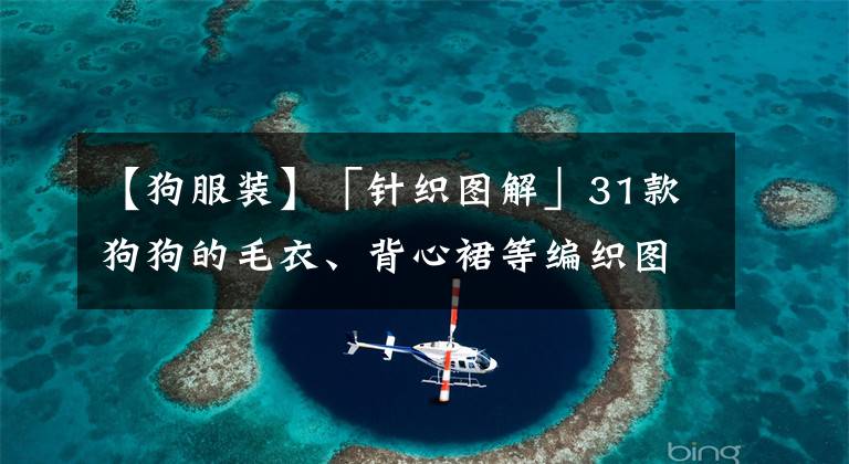 【狗服裝】「針織圖解」31款狗狗的毛衣、背心裙等編織圖解