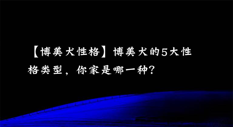 【博美犬性格】博美犬的5大性格類型，你家是哪一種？