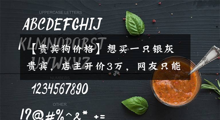 【貴賓狗價格】想買一只銀灰貴賓，店主開價3萬，網(wǎng)友只能灰溜溜的離開