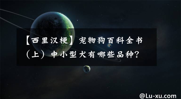 【西里漢?！繉櫸锕钒倏迫珪ㄉ希┲行⌒腿心男┢贩N？各有怎樣的性格特點(diǎn)？