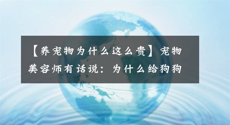 【養(yǎng)寵物為什么這么貴】寵物美容師有話(huà)說(shuō)：為什么給狗狗美容的費(fèi)用比人類(lèi)理發(fā)還要貴