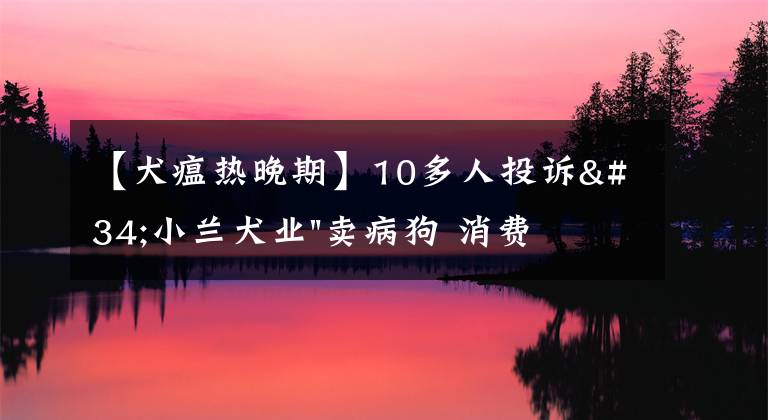 【犬瘟熱晚期】10多人投訴"小蘭犬業(yè)"賣病狗 消費者取證維權難