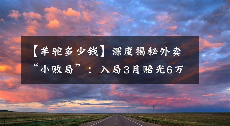 【羊駝多少錢】深度揭秘外賣“小敗局”：入局3月賠光6萬，我只能割肉離場