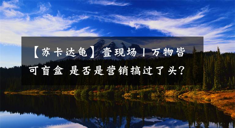 【蘇卡達(dá)龜】壹現(xiàn)場(chǎng)丨萬(wàn)物皆可盲盒 是否是營(yíng)銷搞過了頭？