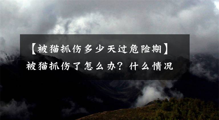 【被貓抓傷多少天過危險期】被貓抓傷了怎么辦？什么情況下要打疫苗？