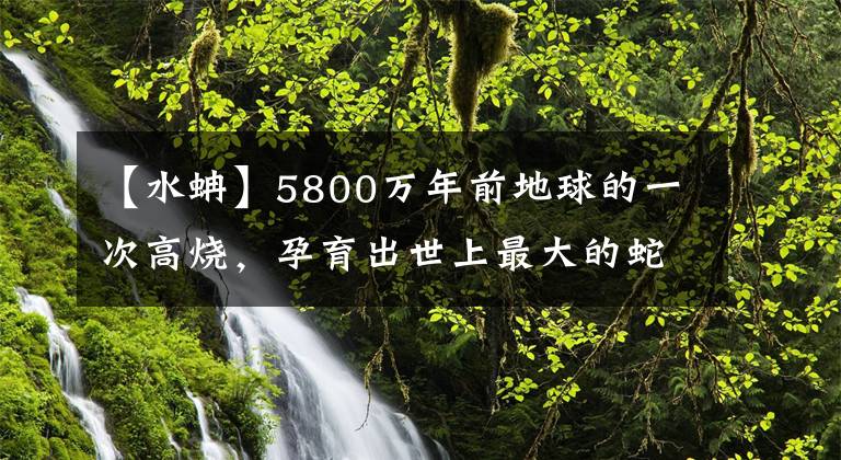 【水蚺】5800萬年前地球的一次高燒，孕育出世上最大的蛇，以巨鱷為食