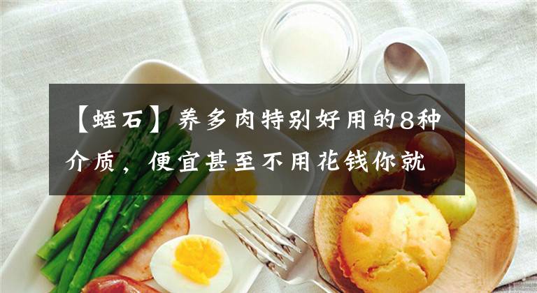 【蛭石】養(yǎng)多肉特別好用的8種介質(zhì)，便宜甚至不用花錢你就能擁有