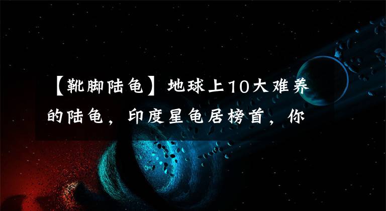 【靴腳陸龜】地球上10大難養(yǎng)的陸龜，印度星龜居榜首，你有養(yǎng)過一種嗎？