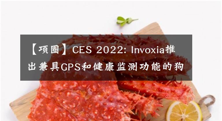 【項(xiàng)圈】CES 2022: Invoxia推出兼具GPS和健康監(jiān)測(cè)功能的狗狗智能項(xiàng)圈