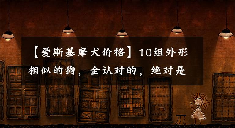 【愛斯基摩犬價格】10組外形相似的狗，全認對的，絕對是“大神”！