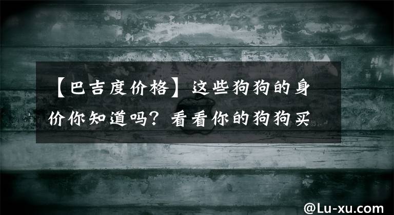 【巴吉度價格】這些狗狗的身價你知道嗎？看看你的狗狗買的值不值