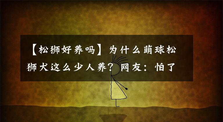 【松獅好養(yǎng)嗎】為什么萌球松獅犬這么少人養(yǎng)？網(wǎng)友：怕了，尤其最后一條