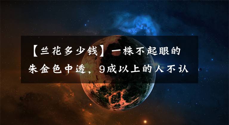 【蘭花多少錢】一株不起眼的朱金色中透，9成以上的人不認(rèn)識，流行時幾萬一苗