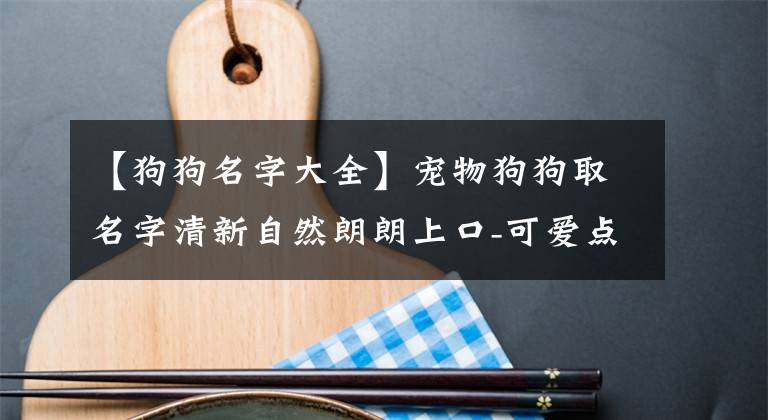 【狗狗名字大全】寵物狗狗取名字清新自然朗朗上口-可愛點