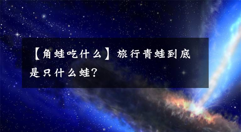 【角蛙吃什么】旅行青蛙到底是只什么蛙？