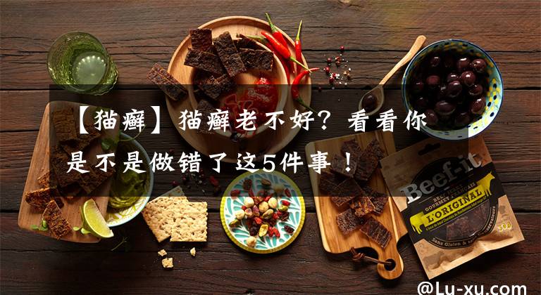 【貓癬】貓癬老不好？看看你是不是做錯了這5件事！