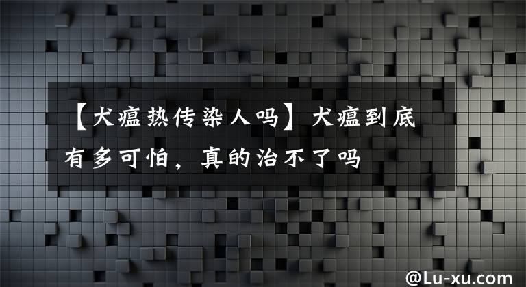 【犬瘟熱傳染人嗎】犬瘟到底有多可怕，真的治不了嗎