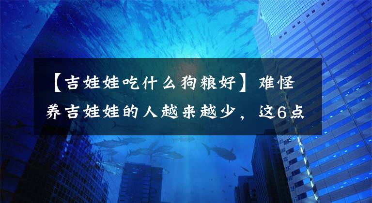 【吉娃娃吃什么狗糧好】難怪養(yǎng)吉娃娃的人越來越少，這6點“勸退”了很多人