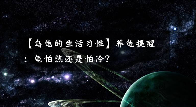 【烏龜?shù)纳盍?xí)性】養(yǎng)龜提醒：龜怕熱還是怕冷？