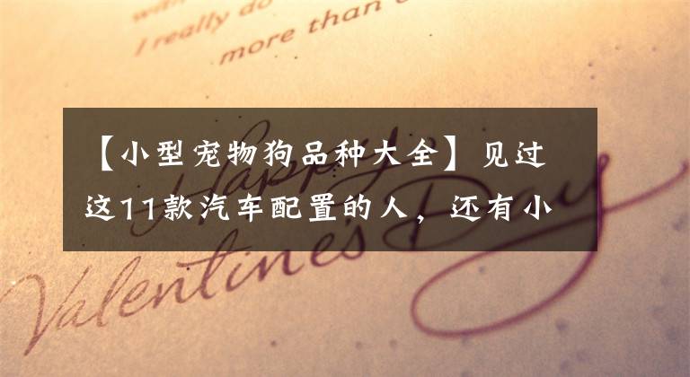 【小型寵物狗品種大全】見過這11款汽車配置的人，還有小于30歲的嗎？