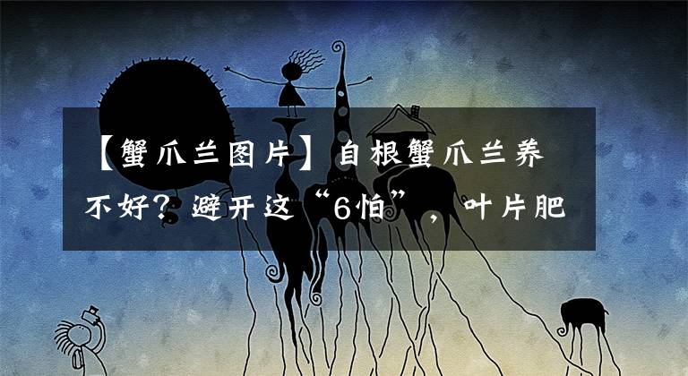 【蟹爪蘭圖片】自根蟹爪蘭養(yǎng)不好？避開這“6怕”，葉片肥厚，開成花瀑布