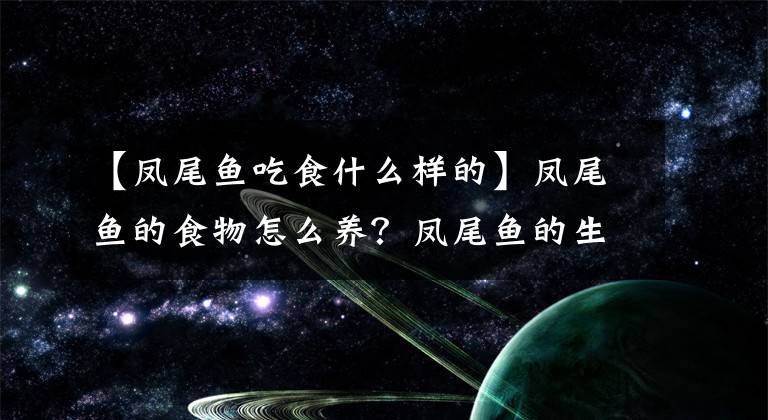 【鳳尾魚吃食什么樣的】鳳尾魚的食物怎么養(yǎng)？鳳尾魚的生活習(xí)性介紹！