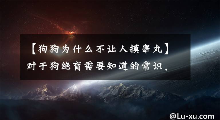 【狗狗為什么不讓人摸睪丸】對于狗絕育需要知道的常識，大家最關(guān)心的是答案