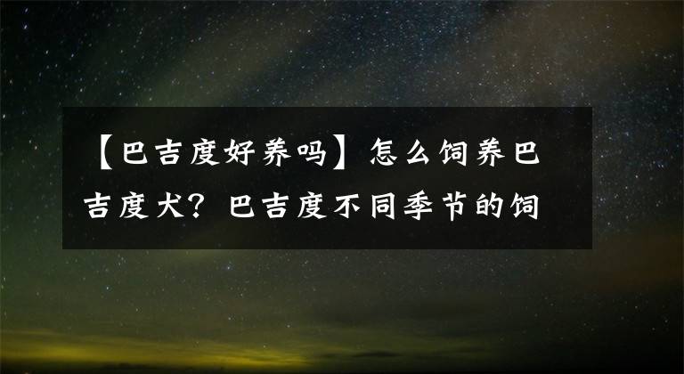 【巴吉度好養(yǎng)嗎】怎么飼養(yǎng)巴吉度犬？巴吉度不同季節(jié)的飼養(yǎng)方法及注意事項！