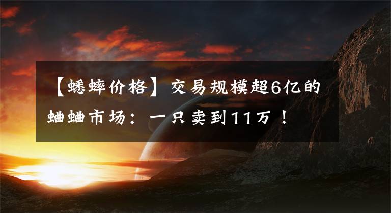 【蟋蟀價格】交易規(guī)模超6億的蛐蛐市場：一只賣到11萬！