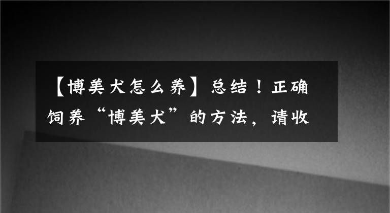 【博美犬怎么養(yǎng)】總結(jié)！正確飼養(yǎng)“博美犬”的方法，請(qǐng)收好