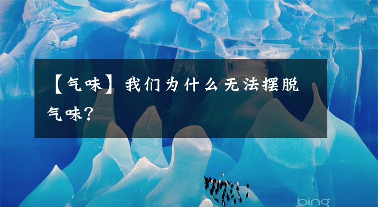 【氣味】我們?yōu)槭裁礋o法擺脫氣味？